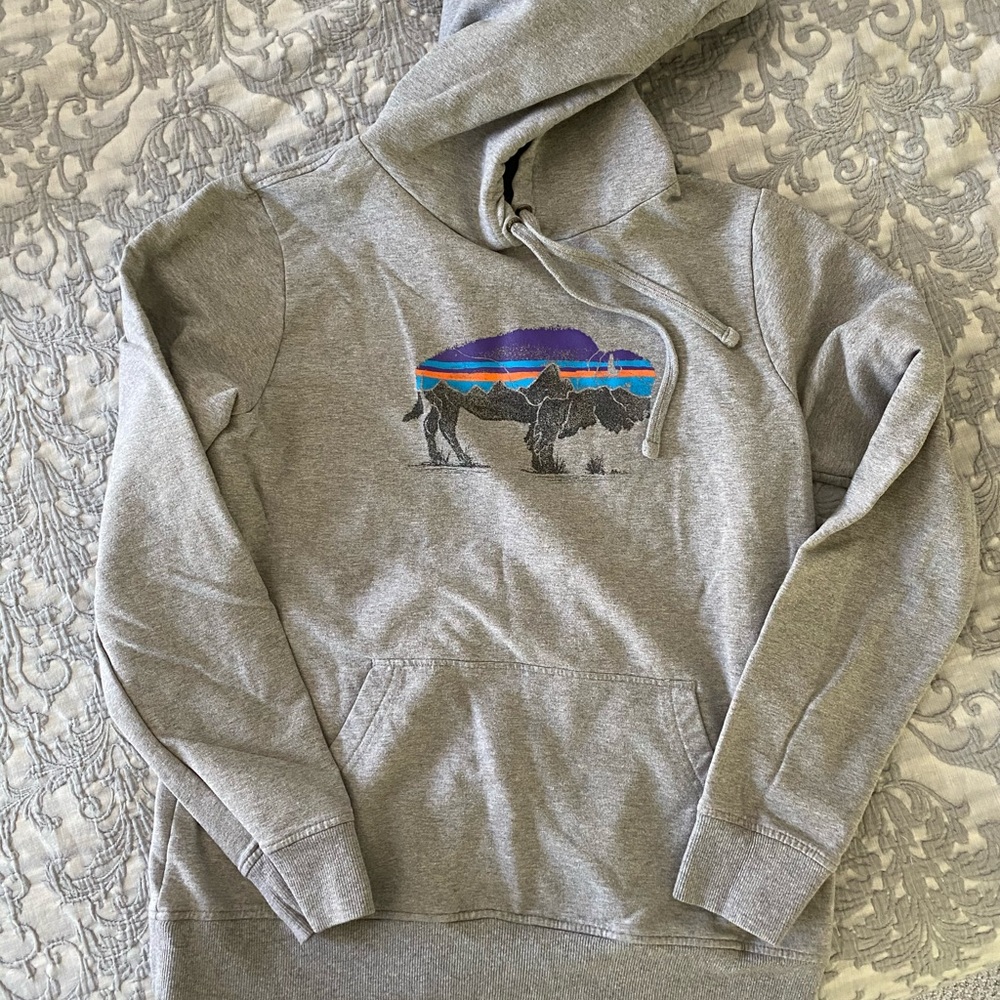 Patagonia Hoodie